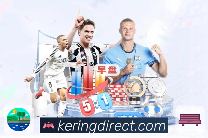 安全提示与验证机制